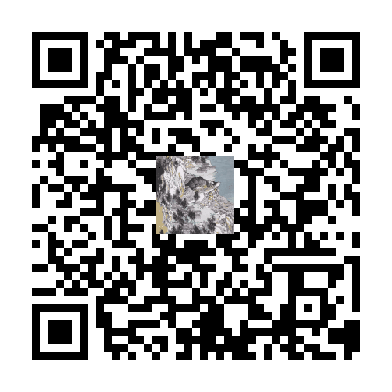 待添加
